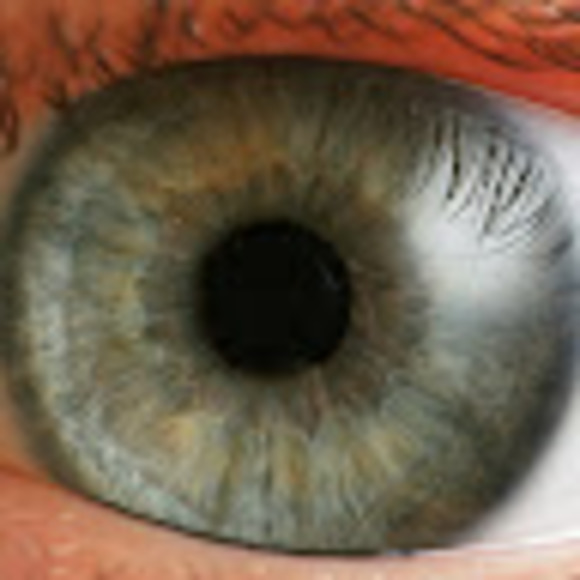 Meet your Posher, Aarón - Picture 1 of 1